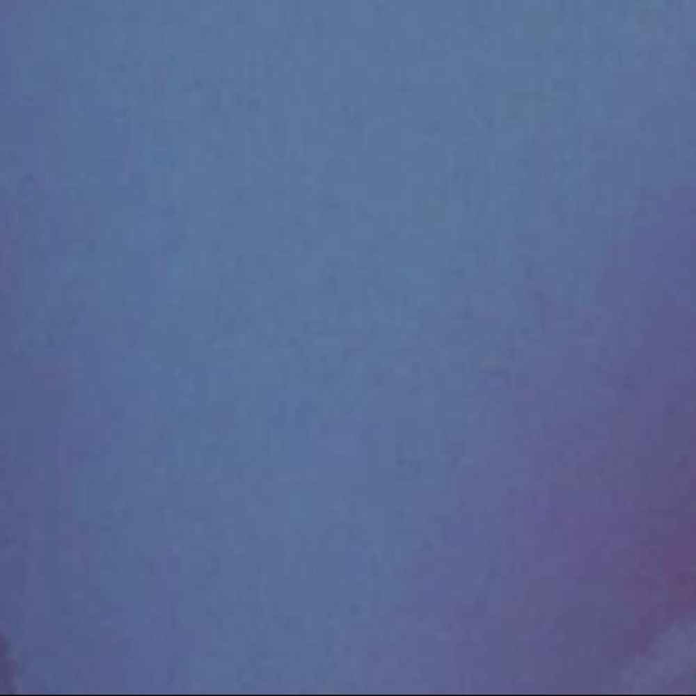 Meet your Posher, Bailey